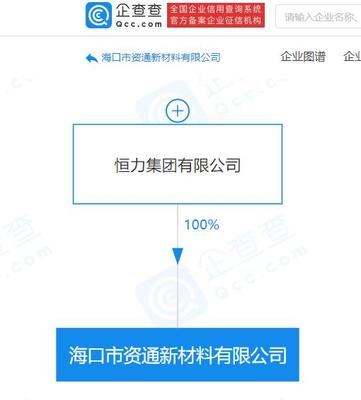 恒力集團在?？诔闪⑿虏牧瞎荆卣贯樇徔椘芳霸箱N售業務