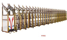 25東莞電動門 創(chuàng)新科技與品質(zhì)服務(wù)的典范
